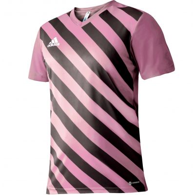 adidas Entrada 22 Graphic Jersey Jr HC2632