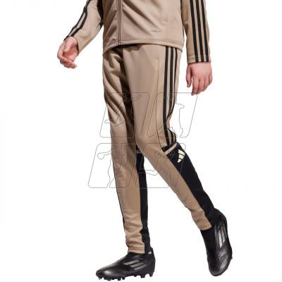 adidas Squadra 25 Training Jr Pants JP3371