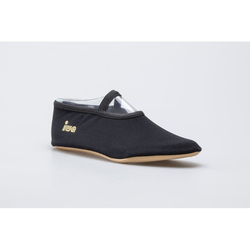 14. IWA 250 ballet shoes