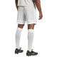 10. adidas Squadra 25 M JH3413 shorts