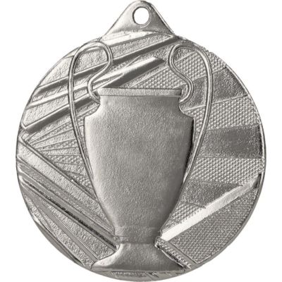 Overall silver medal with cup