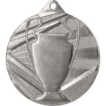 Overall silver medal with cup