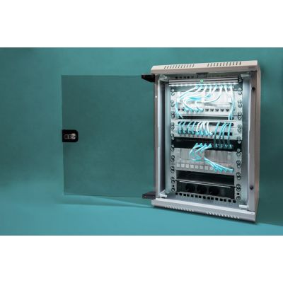 3. Digitus Combination Wall-Mounted Enclosure 254 mm (10") and 482.6 (19") mm
