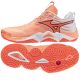 Mizuno WAVE MOMENTUM ELITE V1GA251280 shoes