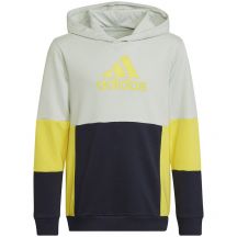 Adidas Colourblock Hoodie Jr HN8567 sweatshirt