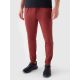 2. Men's quick-drying training pants 4F 4FRAW24TFTRM0933-61S