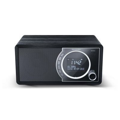 2. Sharp DR-450 Personal Digital Black Radio, Stainless Steel