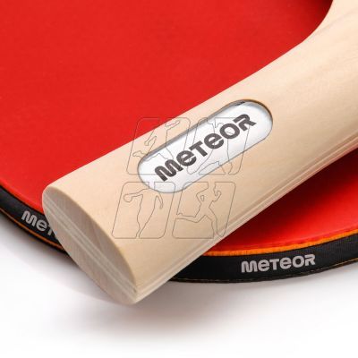 6. Meteor 15029 table tennis set