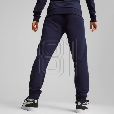 4. Puma Team Goal Casuals Pants W 658604 06
