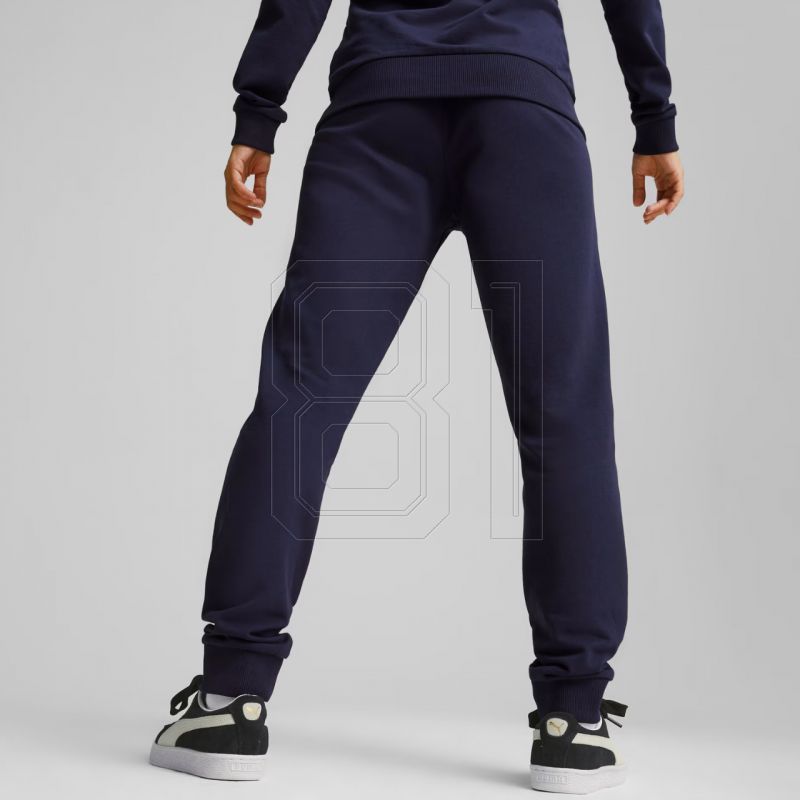 4. Puma Team Goal Casuals Pants W 658604 06