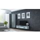 TV cabinet VIGO NEW '140' 30/140/40 white/gray