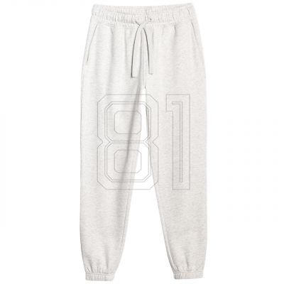 Trousers 4F CAS F1138 W 4FWMM00TTROF1138 27M