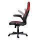 10. TRUST GXT703R RIYE gaming chair red (24986)