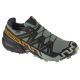 Salomon Speedcross 6 GTX L47880000 Gray 41 1/3