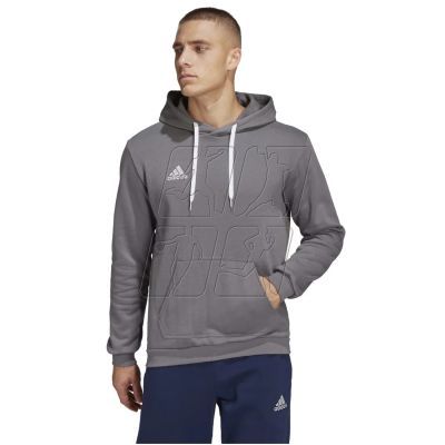 7. Sweatshirt adidas Entrada 22 Sweat M HB0578