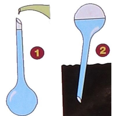 6. AUTOMATIC WATERING CAN DISPENSER WATERING BALL 250ML PURPLE