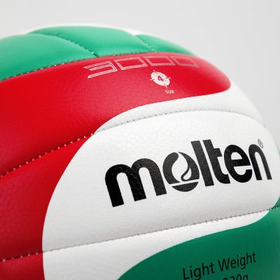 2. Molten 3000 V4M3000-L Volleyball