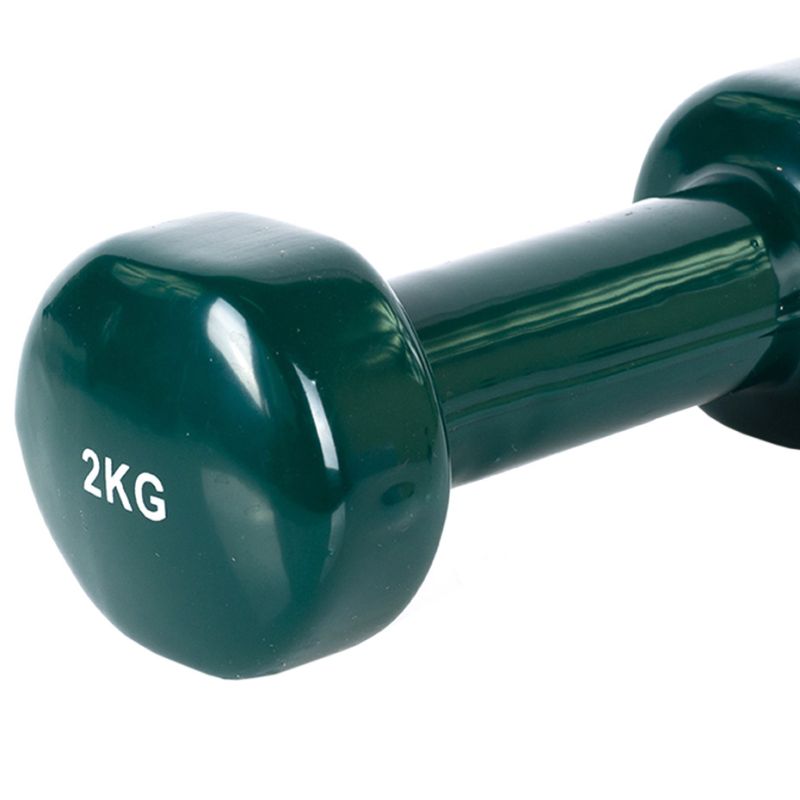 69. PROfit vinyl dumbbell 0.5kg DK 4102