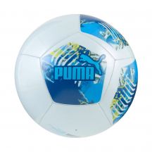 Puma MCFC Football Ingry 84546 75