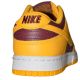14. Nike Dunk Low RETRO Sports Shoes - DD1391-702