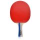 15. Meteor Sirocco 15016 Table Tennis Racket