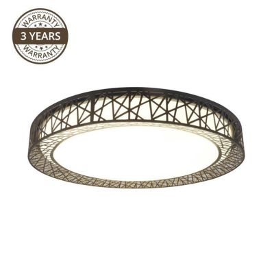 CL16160-D58 36W LED ceiling lamp