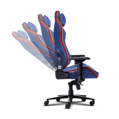 5. TRUST GXT 721SM Ruya Pro Premium Gaming Chair