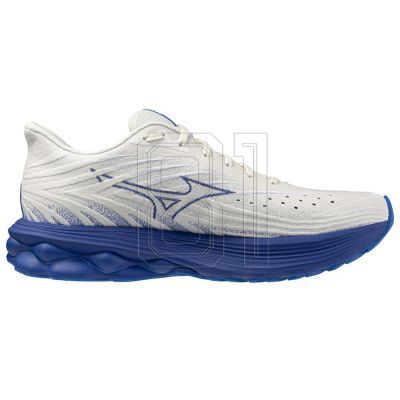 2. Mizuno Wave Skyrise 6 M J1GC250954 shoes