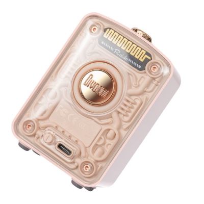 5. Divoom Fairy-OK Portable Wireless