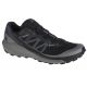 5. Shoes Salomon Sense Ride 4 GTX M 413071