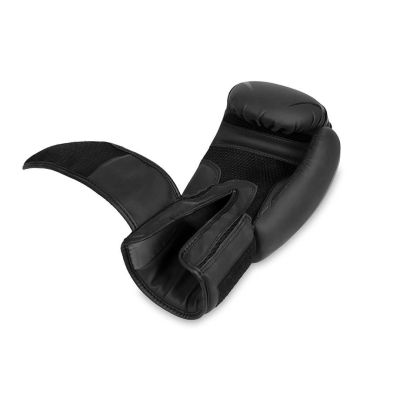 18. 10oz Boxing Gloves - Raptor - Origin Series