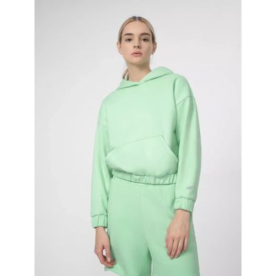 3. Sweatshirt 4F W 4FSS23TSWSF255-42S