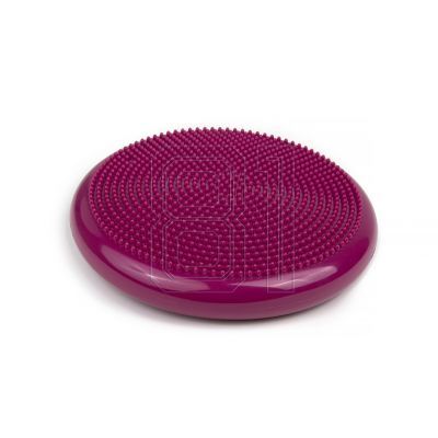 3. Tiguar (air disc) stabilizing disc DR-GT0001