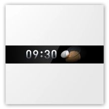 Aqara Display Switch V1