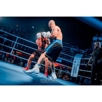 13. 10oz Boxing Gloves - Spirit - Valor Series