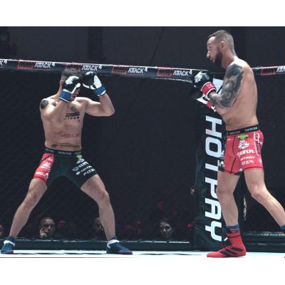 44. 10oz Boxing Gloves - Classic White - Origin Series