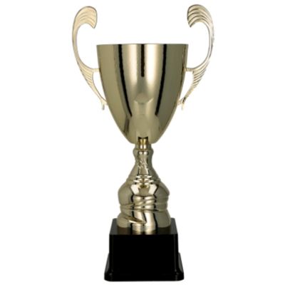 2. TD gold metal cup