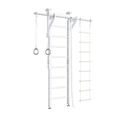3. Wallbarz Eco 2.1 EG-WW-Eco2.1 gymnastic ladder