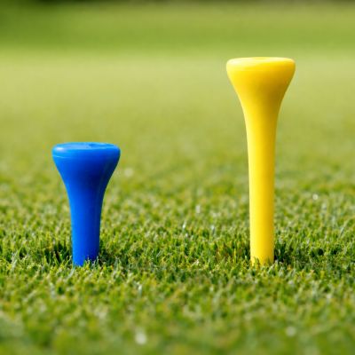 9. Tee - stand for golf balls PGT 10 pcs.