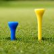 9. Tee - stand for golf balls PGT 10 pcs.