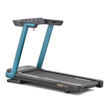 Reebok FR20z Floatride Treadmill RVFR-10121GRZ