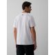 2. Men's regular printed T-shirt 4F 4FKAW26TTSHM4476-10S