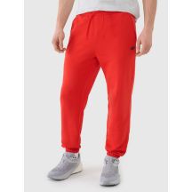 Men's jogger sweatpants 4F 4FWMM00TTROM1139-62S