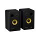 2. GENESIS ARSEN 402BT 2-Way Black Wired and Wireless 60 W