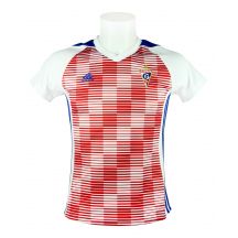 adidas MiTiro 17 Górnik Zabrze Home BR6833 women's T-shirt