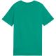 3. Puma Team Goal Casuals Tee Jr 658616 05