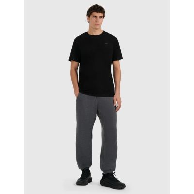 Men's jogger sweatpants 4F 4FRMM00TTROM1625-23M