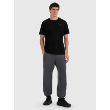 Men's jogger sweatpants 4F 4FRMM00TTROM1625-23M