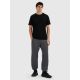 Men's jogger sweatpants 4F 4FRMM00TTROM1625-23M