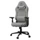 COUGAR CGR-EPF-ROA Universal Gaming Chair Grey
